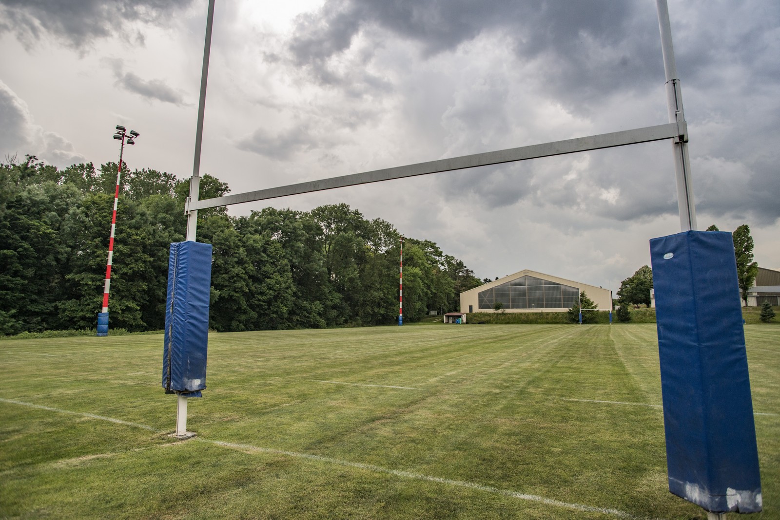 Terrain rugby